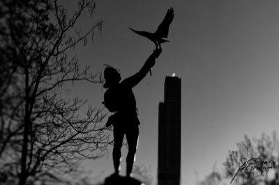 Black and white photo 14