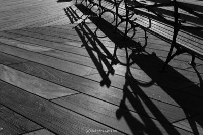 Black and white photo 16