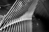 Black and white photo 5