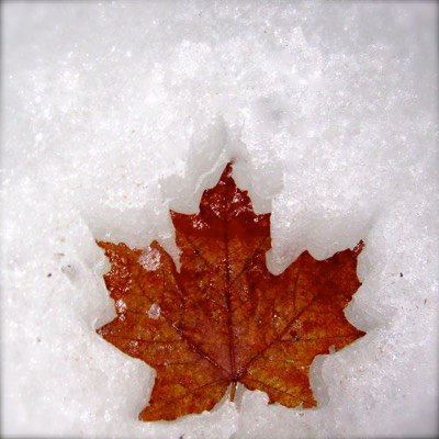 Colour photo 20